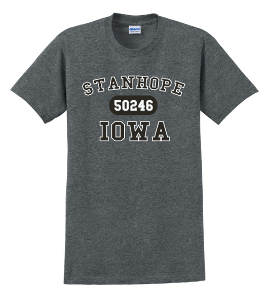 Gildan Ultra Cotton 100% Cotton T-Shirt - 2000
